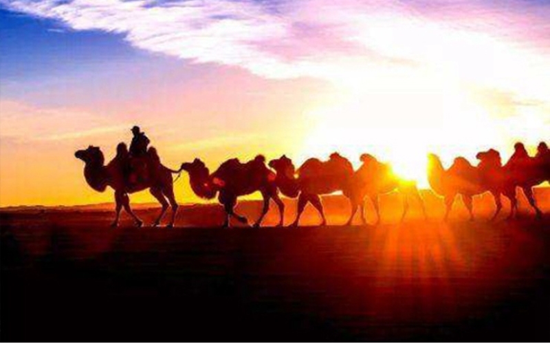 絲綢之路遺址保護(hù)高級(jí)培訓(xùn)班圓滿結(jié)業(yè)